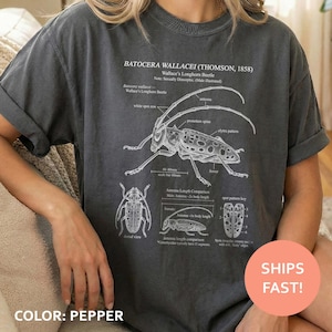 May include: Pepper-colored t-shirt featuring a detailed scientific illustration of Wallace's Longhorn Beetle. The graphic includes labeled anatomical diagrams and text. The shirt's design is a unique blend of science and fashion.