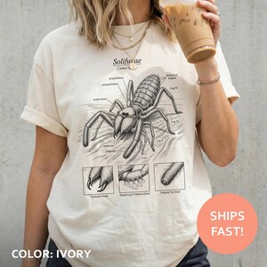 May include: An ivory t-shirt featuring a black ink scientific illustration of a Solifugae, also known as a camel spider. The graphic includes anatomical labels, such as ocular turret and pedipalps, along with three detailed inset diagrams.