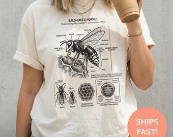 Bald Faced Hornet Anatomy Shirt, Insect Diagram TShirt, Entomology Tee, Scientific Illustration T-Shirt, Nature Study Top