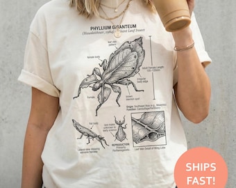 Giant Leaf Insect Anatomy Shirt, Leaf Insect TShirt, Phyllium Diagram Tee, Entomology T-Shirt, Nature Study Top