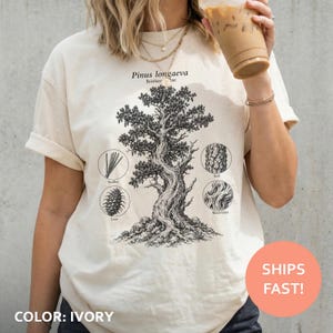 May include: An ivory t-shirt featuring a black botanical illustration of a Bristlecone Pine tree. The graphic includes labels for Needles, Cone, Bark, and Wood Grain in circular frames. The text Pinus longaeva is printed above the tree illustration.