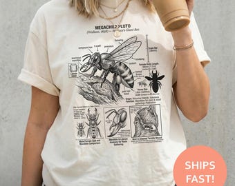 Megachile Pluto Bee Anatomy Shirt, Giant Bee TShirt, Insect Diagram Tee, Entomology Chart T-Shirt, Scientific Illustration Top