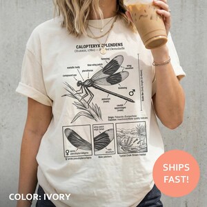 Könnte beinhalten: Elfenbeinfarbenes T-Shirt mit einer detaillierten Schwarz-Weiß-Illustration einer Libelle, beschriftet mit wissenschaftlichen Begriffen. Das Design enthält Diagramme der Anatomie und des Lebensraums des Insekts. Der Text "CALOPTERYX SPLENDENS" ist oben.