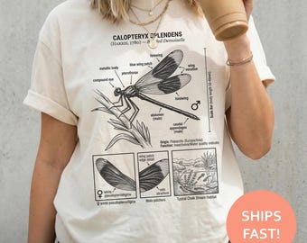 Banded Demoiselle Anatomy Shirt, Damselfly Diagram TShirt, Insect Study Tee, Entomology T-Shirt, Science Illustration Top