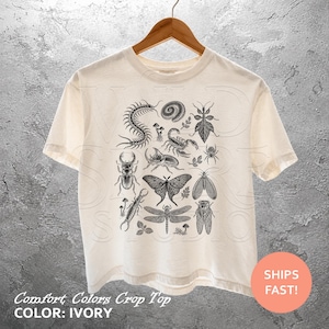 Op de afbeelding: Een ivoorkleurig T-shirt met korte mouwen en een zwarte inktachtige grafische print van diverse insecten, waaronder een duizendpoot, schorpioen, kever, mot, libel en spin, gerangschikt in een centrale groep op de voorzijde van het kledingstuk.