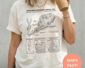 Camiseta de anatomía de caballito de mar pigmeo, camiseta de caballito de mar, camiseta de biología marina, camiseta de criatura marina, camiseta de vida marina