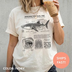 Valhaj anatomi t-shirt, valhaj t-shirt, marinbiologi t-shirt, havsjätte t-shirt, fiskdiagram topp