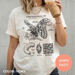 May include: Ivory-colored t-shirt featuring a detailed black and white illustration of an Atlas moth and its life stages. The graphic includes scientific labels and text, with a wing span up to 10 inches. The shirt also has the text "SHIPS FAST!"