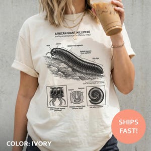 Chemise mille-pattes géante africaine, t-shirt anatomie mille-pattes, t-shirt science des insectes, t-shirt arthropode, haut étude de la nature