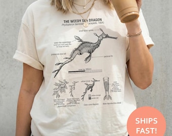 Camiseta de anatomía de dragón marino, camiseta de dragón marino, camiseta de biología marina, camiseta de ciencias oceánicas, camiseta de vida marina