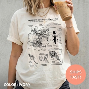Orkidé Mantis Anatomi T-shirt, Orkidé Mantis T-shirt, Insekt Diagram T-shirt, Entomologi Illustration T-shirt, Naturstudietopp