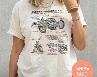 Camiseta de anatomía del pez mandarín, camiseta de pez mandarín, camiseta de biología marina, camiseta de anatomía de peces, camiseta de estudio oceánico