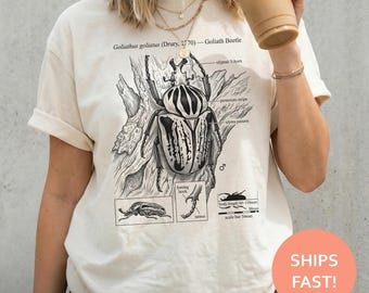 Goliath Beetle Anatomy Shirt, Goliath Beetle TShirt, Beetle Diagram Tee, Insect Science T-Shirt, Entomology Top