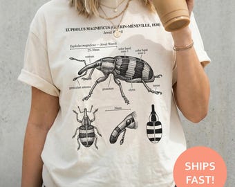 Eupholus Magnificus Shirt, Jewel Weevil TShirt, Weevil Anatomy Tee, Insect Illustration T-Shirt, Vintage Entomology Top