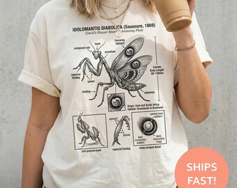 Devils Flower Mantis Shirt, Idolomantis TShirt, Mantis Anatomy Tee, Insect Diagram T-Shirt, Entomology Top