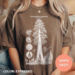Peut inclure: Un t-shirt marron à manches courtes orné d'une illustration botanique blanche d'un Sequoiadendron giganteum, ou Séquoia géant. Le motif comprend des croquis détaillés du feuillage, d'un cône et de l'écorce avec un paysage de montagne.