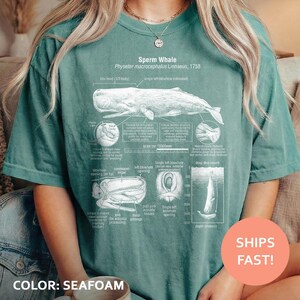 May include: Seafoam green t-shirt featuring a detailed scientific illustration of a sperm whale, including anatomical diagrams and the text "Sperm Whale". The shirt also has the text "SHIPS FAST!" in a pink circle.