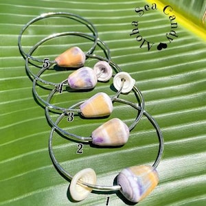 May include: Five silver-toned metal bangles, each featuring a unique cone-shaped seashell with purple and orange hues. Some bangles include small white spiral shells. The text Aloha Sea Candy and Size: Medium are visible on the image.