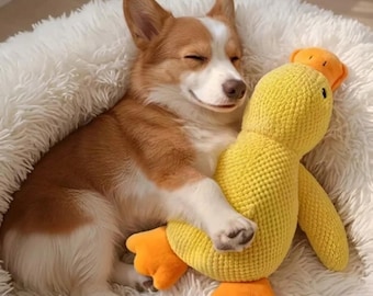 Quietsche Ente Hund | Interaktives Hundespielzeug | Plüschtier Hunde | Langlebiges Hundespielzeug | Hund Kauspielzeug | Zerrspielzeug | Kuscheliger Hund Spielzeug Geschenk