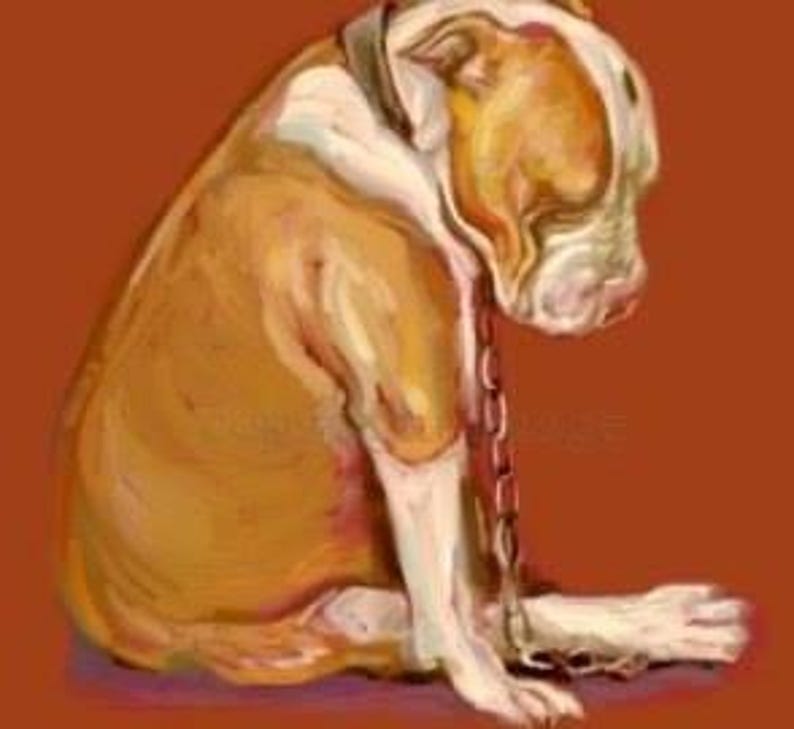 May include: A brown and white bulldog with a chain collar sits on a red background. The dog is looking down and has a sad expression.