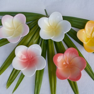 Hawaii Hand Painted Plumeria Ceramic Flower Dish by Lauhala Trading