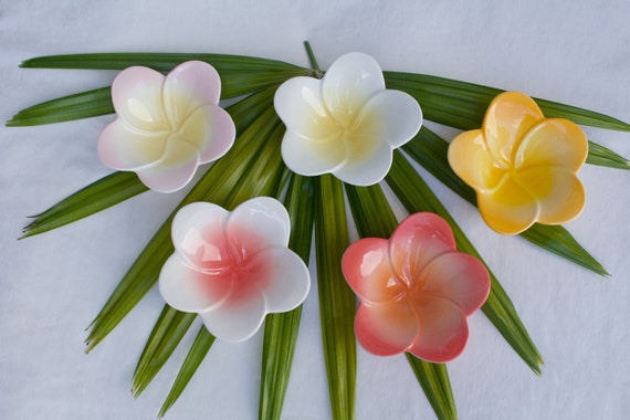Hawaii Hand Painted Plumeria Ceramic Flower Dish by Lauhala