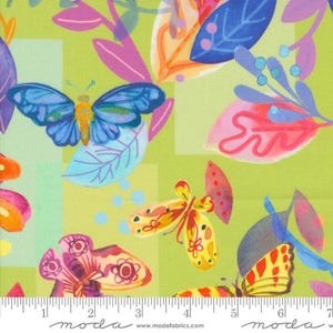 Flower Patches Butterflies