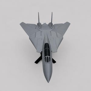 F-14 Tomcat Moveable Wing Display Model | 3D Printed Aircraft