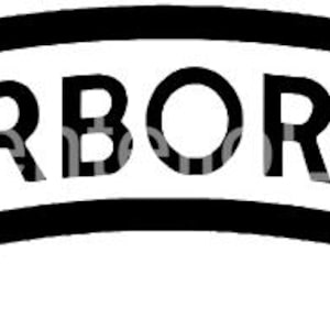 May include: A black and white patch with the word "AIRBORNE" in bold, sans-serif font. The text is centered within a white rectangular shape, which is framed by a thick black border. The patch has a slight upward curve.