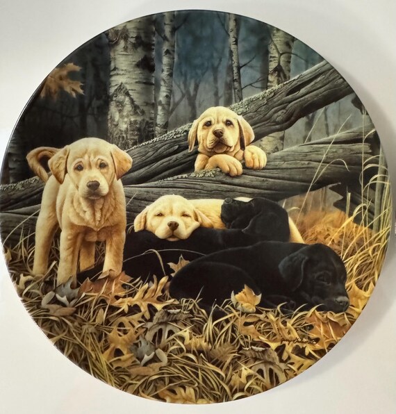 1993 Bradford Exchange Limited Edition Collectors Plates,dog Days