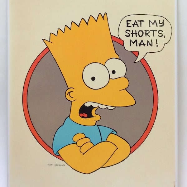 Bart Simpson framed picture/1990 Twentieth Century Fox Film Corporation/Shorts No.107