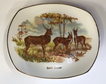 Vintage Banff Canada collectors plate