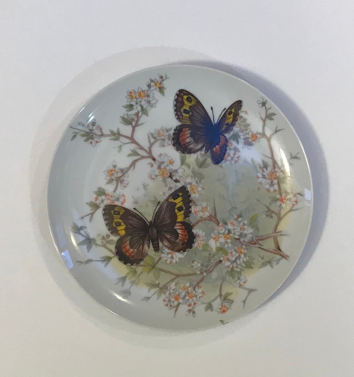Vintage Set of Butterfly Collectors Plates Etsy