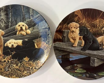 1993 Bradford Exchange Limited Edition Collectors Plates,dog Days
