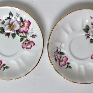Vintage pair of Royal Windsor tea cup saucers/Floral plates