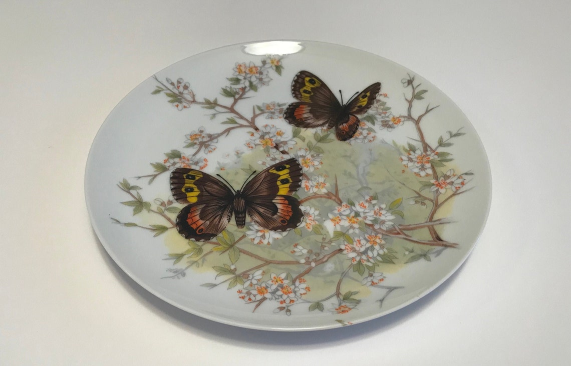 Vintage Set of Butterfly Collectors Plates Etsy
