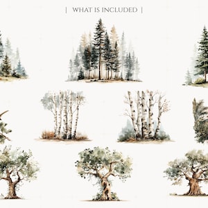 May include: Watercolor illustrations of various trees, including pine, birch, and oak, along with a bird on a branch and a panther in a jungle scene. The images are in a soft, muted color palette, creating a serene and natural aesthetic.