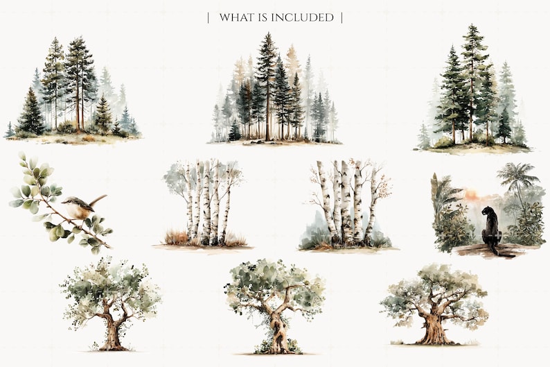 May include: Watercolor illustrations of various trees, including pine, birch, and oak, along with a bird on a branch and a panther in a jungle scene. The images are in a soft, muted color palette, creating a serene and natural aesthetic.
