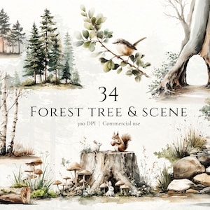 Imágenes prediseñadas de acuarela de bosque, imágenes prediseñadas de escena de bosque, imágenes prediseñadas de árbol de bosque, paquete de imágenes prediseñadas de bosque, elementos de bosque png, imágenes prediseñadas para uso comercial