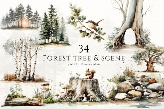 Forest watercolor clipart woodland scene clipart forest tree clipart pack woodland clipart forest elements png commercial use clipart