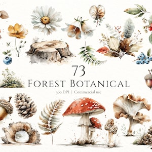 Könnte beinhalten: Aquarellillustrationen von Waldbotanik, darunter Pilze, Blumen, Beeren und Blätter. Das Bild zeigt verschiedene natürliche Elemente wie Eicheln, Tannenzapfen und einen Baumstumpf. Der Text lautet "73 FOREST BOTANICAL" und "300 DPI | Commercial use."