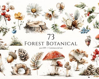 Watercolor Forest Botanical Clipart Bundle Woodland Mushroom PNG Autumn Nature Elements for Junk Journal Scrapbooking Commercial Use