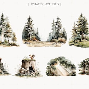 May include: Watercolor illustrations of forest scenes, including trees, squirrels, and mushrooms. The images have a soft, painterly style with muted greens, browns, and grays. Text at the top reads "WHAT IS INCLUDED".