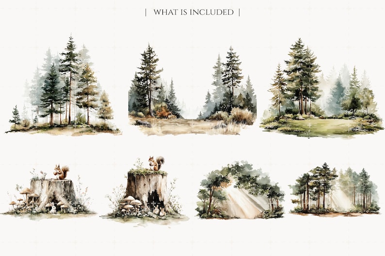 May include: Watercolor illustrations of forest scenes, including trees, squirrels, and mushrooms. The images have a soft, painterly style with muted greens, browns, and grays. Text at the top reads "WHAT IS INCLUDED".