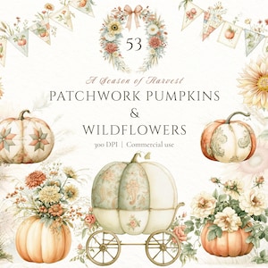 May include: A digital collection of 53 watercolour illustrations featuring pumpkins, sunflowers, wildflowers, and bunting banners. The text reads A Season of Harvest PATCHWORK PUMPKINS & WILDFLOWERS 300 DPI | Commercial use. Includes a pumpkin carriage.
