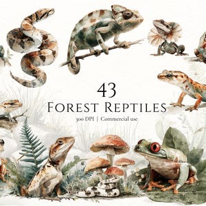 Op de afbeelding: Waterverfillustratie met diverse bosreptielen, waaronder hagedissen, slangen, kameleons en kikkers. De afbeelding bevat de tekst "43 Forest Reptiles" en "300 DPI | Commercial use". Het kunstwerk toont een verscheidenheid aan kleuren en texturen.