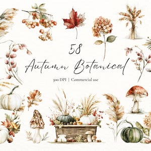 Könnte beinhalten: Eine Sammlung von 58 herbstlichen botanischen Aquarellillustrationen mit Kürbissen, Pilzen, getrockneten Gräsern, Weizen, Beeren und Herbstblättern. Der Text 58 Autumn Botanical 300 DPI Commercial use ist mittig zwischen den Elementen platziert.