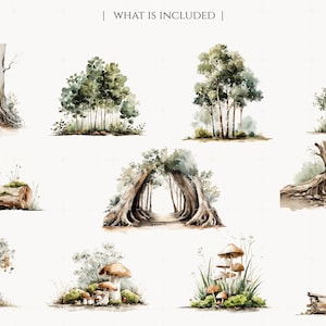 May include: Watercolor illustrations of various forest scenes, including trees with archways, clusters of trees, and mushrooms. The artwork features a soft, natural color palette with detailed depictions of foliage and bark.