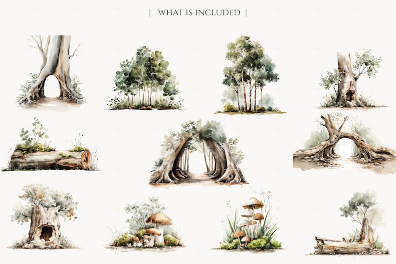 May include: Watercolor illustrations of various forest scenes, including trees with archways, clusters of trees, and mushrooms. The artwork features a soft, natural color palette with detailed depictions of foliage and bark.