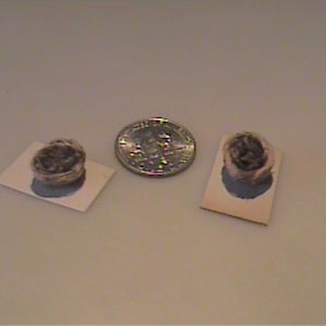 Puede incluir: Dos nidos de pájaro en miniatura, circulares y de textura marrón, cada uno montado sobre una pequeña tarjeta rectangular blanca, colocados a ambos lados de una moneda plateada para mostrar el pequeño tamaño de los objetos.